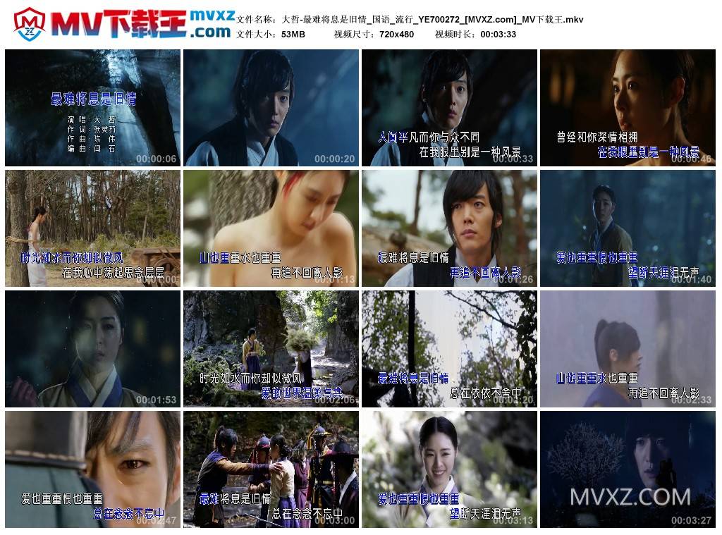 大哲-最难将息是旧情_国语_流行_YE700272